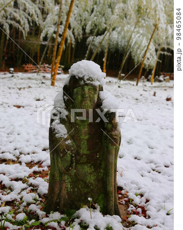 初雪の星厳寺 初雪の星厳寺 98465084