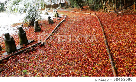 初雪の星厳寺 初雪の星厳寺 98465090