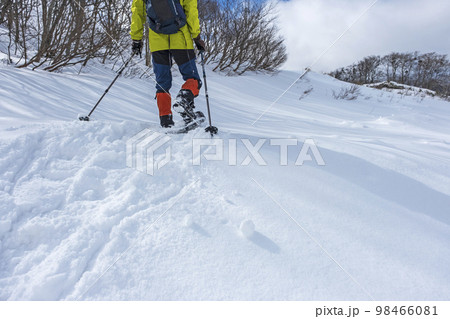 スノーシュートレッキングのイメージ　大山鏡ヶ成   98466081