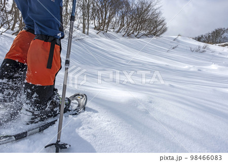 スノーシュートレッキングのイメージ　大山鏡ヶ成   98466083