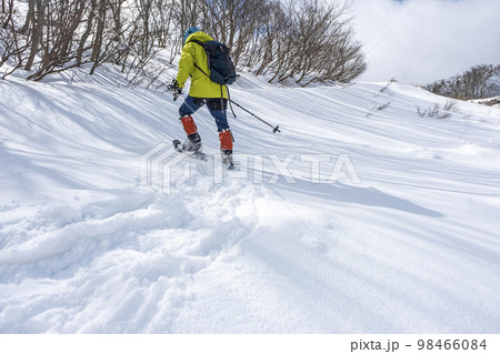 スノーシュートレッキングのイメージ　大山鏡ヶ成   98466084
