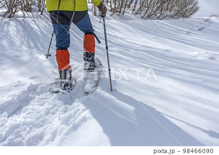 スノーシュートレッキングのイメージ　大山鏡ヶ成   98466090