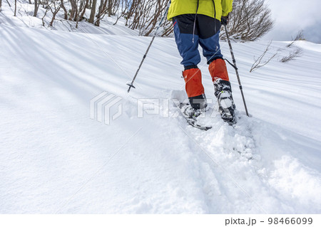 スノーシュートレッキングのイメージ　大山鏡ヶ成   98466099