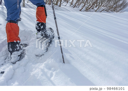 スノーシュートレッキングのイメージ　大山鏡ヶ成   98466101