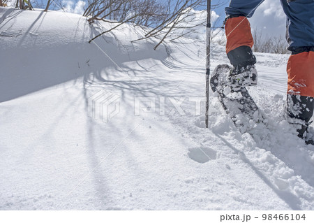 スノーシュートレッキングのイメージ　大山鏡ヶ成   98466104