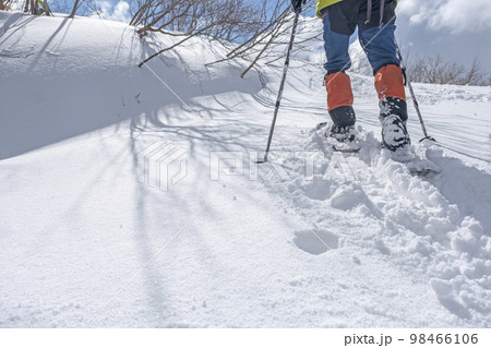 スノーシュートレッキングのイメージ　大山鏡ヶ成   98466106