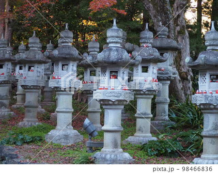 灯籠とだるま　勝尾寺　大阪府箕面市 98466836