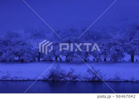 岩手県北上市 冬の北上展勝地 岩手県北上市 冬の北上展勝地 98467042