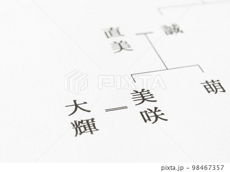 家系図 夫婦 婿 婿養子 相続 家系図 夫婦 婿 婿養子 相続 98467357