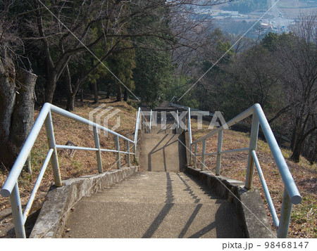 みかも山公園　1月　三毳神社 98468147