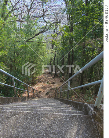 みかも山公園　1月　三毳神社 98468157
