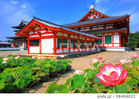 【奈良県】晴天下の薬師寺（大講堂） 98469031