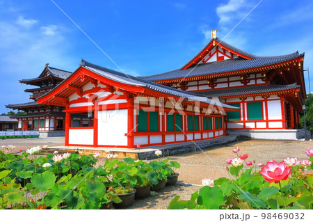 【奈良県】晴天下の薬師寺(大講堂) 【奈良県】晴天下の薬師寺(大講堂) 98469032