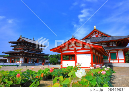 【奈良県】晴天下の薬師寺(大講堂) 【奈良県】晴天下の薬師寺(大講堂) 98469034