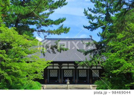 【奈良県】晴天の唐招提寺(金堂) 【奈良県】晴天の唐招提寺(金堂) 98469044