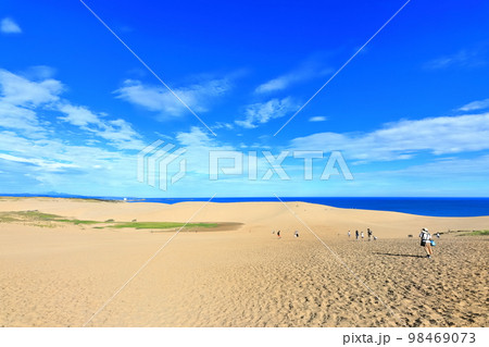 【鳥取県】晴天の鳥取砂丘 98469073