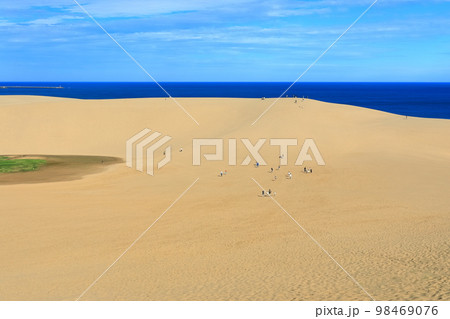 【鳥取県】晴天の鳥取砂丘 【鳥取県】晴天の鳥取砂丘 98469076
