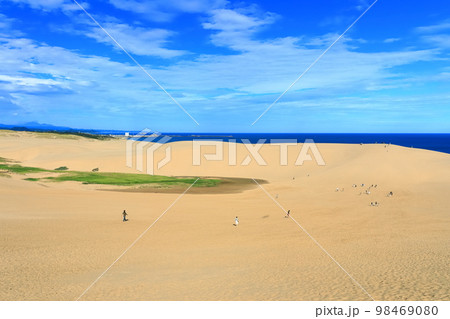 【鳥取県】晴天の鳥取砂丘 【鳥取県】晴天の鳥取砂丘 98469080