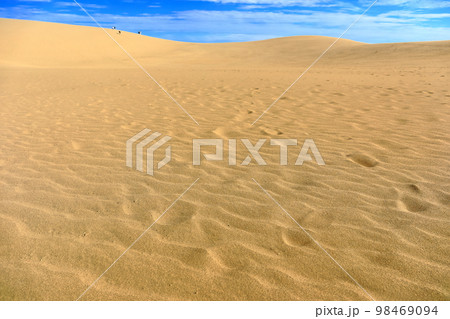 【鳥取県】晴天の鳥取砂丘 98469094