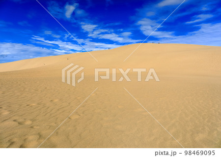 【鳥取県】晴天の鳥取砂丘 【鳥取県】晴天の鳥取砂丘 98469095