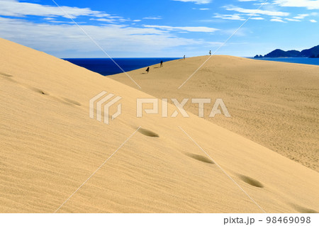 【鳥取県】晴天の鳥取砂丘 【鳥取県】晴天の鳥取砂丘 98469098
