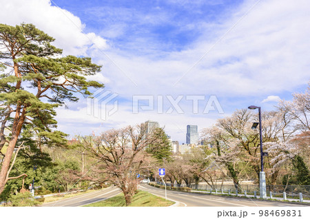 春 仙台市内 春 仙台市内 98469831