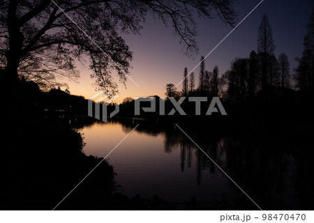 森から顔を出す日の出の太陽 98470470