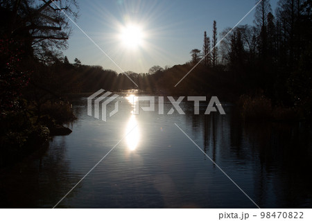 森を照らす日の出の太陽 98470822