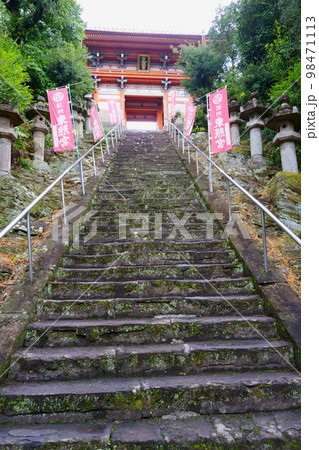 紀州東照宮(和歌山県和歌山市) 紀州東照宮(和歌山県和歌山市) 98471113
