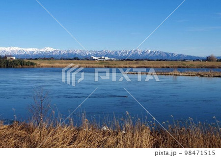 新潟市西区善久・信濃川の土手からの五頭山塊 98471515