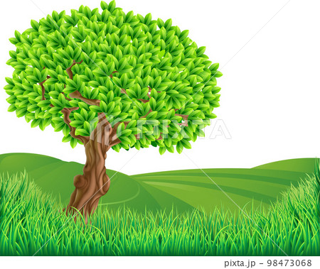 Grass Field Hills Grasslands Tree Landscape 98473068
