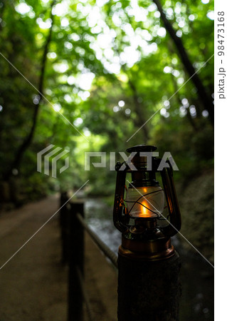 森の中を流れる川とアンティークランタン 森の中を流れる川とアンティークランタン 98473168
