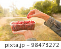 Fresh raspberries. Hand holds a juicy fresh raspberry. Season of fruit and jam cooking. Raspberry group. Summer and autumn berries harvest season. 98473272
