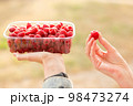 Fresh raspberries. Hand holds a juicy fresh raspberry. Season of fruit and jam cooking. Raspberry group. Summer and autumn berries harvest season. 98473274