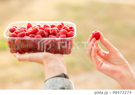 Fresh raspberries. Hand holds a juicy fresh raspberry. Season of fruit and jam cooking. Raspberry group. Summer and autumn berries harvest season. 98473274