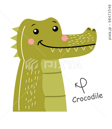 Crocodile . Cartoon character . Vector . Crocodile . Cartoon character . Vector . 98473546