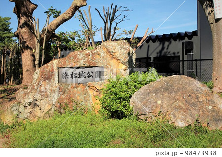 浜松城公園 98473938