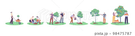 People planting and growth tree. Garden improvement, grow fruit plant in collaboration. Eco gardening, volunteer reforest process. Kicky vector development scene People planting and growth tree. Garden improvement, grow fruit plant in collaboration. Eco gardening, volunteer reforest process. Kicky vector development scene 98475787
