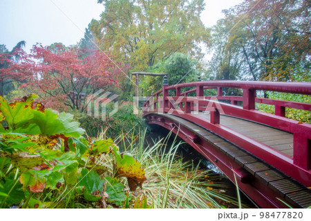 Amazing foggy landscape in a Japanese garden with japanese bridge in Leverkusen Amazing foggy landscape in a Japanese garden with japanese bridge in Leverkusen 98477820