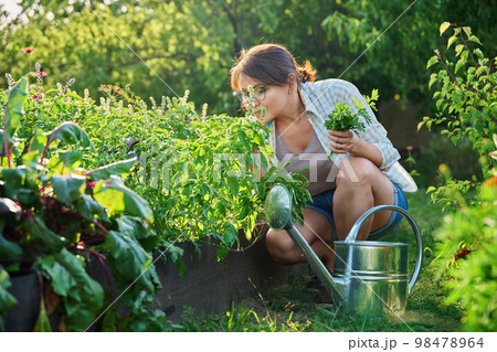 Middle-aged woman with watering can near garden bed with spicy fragrant herbs 98478964