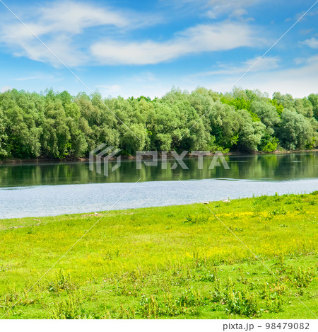 River and green hills with blooming wild flowers and trees at summer day. 98479082