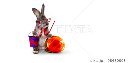 Funny Easter bunny. Happy Easter holiday concept. Funny Easter bunny. Happy Easter holiday concept. 98480003