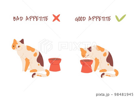 Cat appetite. Picky to feed kitten, bad or good pets appetites diagram, home animal diet cats want eating fodder bowl, hungry pet concept feeding problem cute vector illustration Cat appetite. Picky to feed kitten, bad or good pets appetites diagram, home animal diet cats want eating fodder bowl, hungry pet concept feeding problem cute vector illustration 98481945