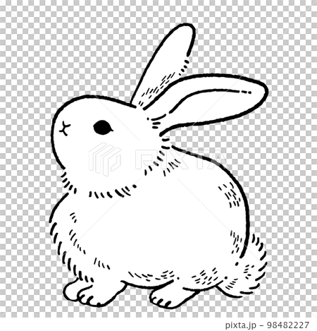 レトロなお座りウサギの線画イラスト素材 98482227