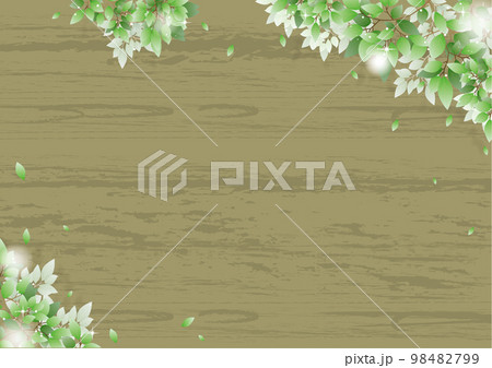 美しい新緑の背景素材 美しい新緑の背景素材 98482799