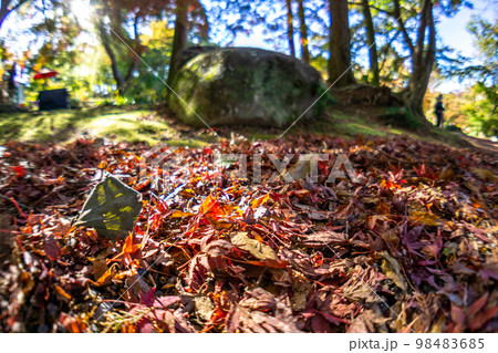 地面の落ち葉　秋のイメージ　紅葉 98483685
