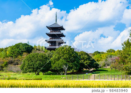岡山県 備中国分寺　五重塔 遠景 98483940