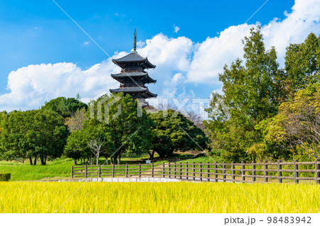 岡山県 備中国分寺 五重塔 遠景 岡山県 備中国分寺 五重塔 遠景 98483942