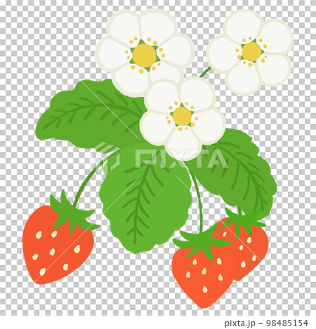 葉っぱや花が付いているイチゴのイラスト 98485154