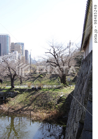 福岡城跡5号堀風景 98485249